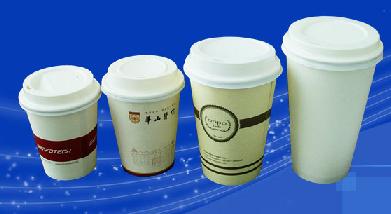 Paper   Cup